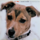 Edition limitée Chambres Sensibles - 2009 - Zi' Why - Bernard Gast